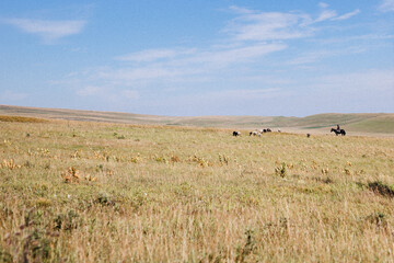 A diverse group of people is joyfully riding horses across a beautiful green field, enjoying the fresh air and vibrant nature all around