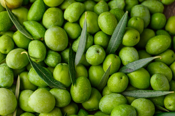 Top view of full frame background of many green fresh olives scattered