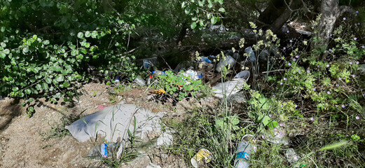 Garbage dump in the woods
