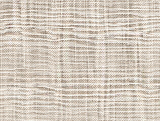 Fototapeta premium light gray linen texture, a seamless pattern for textile design or background