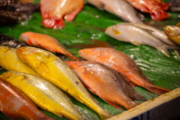a market stall filled with various fresh, vibrant-colored seafood