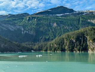 Beautiful alaskan scenery from the Endicott arm