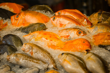 a market stall filled with various fresh, vibrant-colored seafood