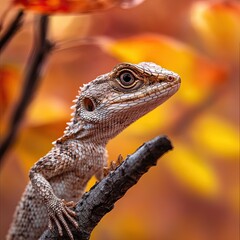 Lizard isolated on autumn background