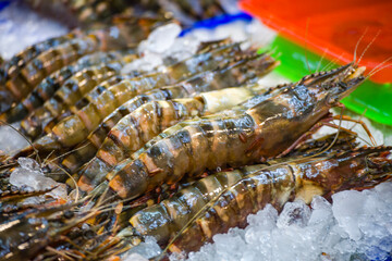 Fresh large prawns displayed on a market stall, surrounded by ice to maintain their freshness.