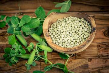 Erbsen Pisum sativum auf Olivenholz