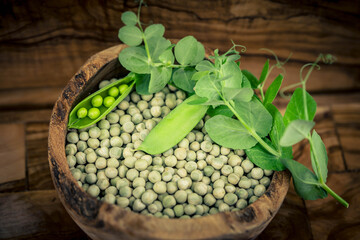 Erbsen Pisum sativum auf Olivenholz