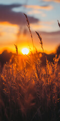 Joyful sunset with warm colors
