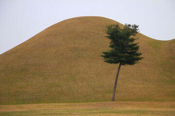 Beautiful Autumn Scenery Inside Daereungwon Tomb Complex in Gyeongju, South Korea