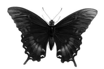 Embrace creativity with a splash of colors. Collaborative digital workspace concept