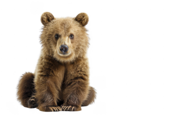 Explore the brilliance of this abstract art. Creative design concept