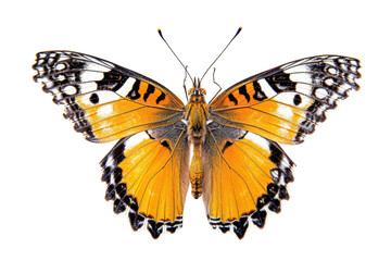 Obraz premium Serene Sunset Over the Ocean Waves. Relaxation concept