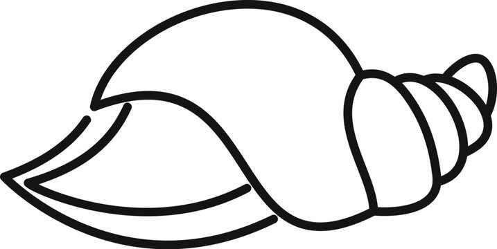 recommend clip art: Simple line drawing of a seashell evoking beachcombing and ocean life