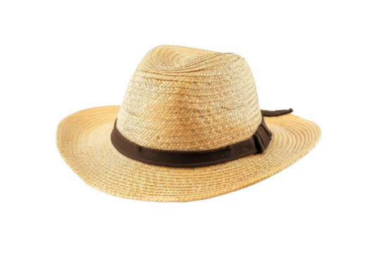 Bright and Functional. Creative office environment concept