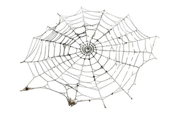 Obraz premium Explore the beauty of abstract shapes. Artistic creativity concept