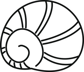 Single seashell with a spiral pattern is depicted in a hand drawn style, emphasizing its natural beauty