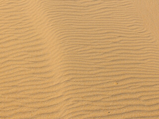 Obraz premium texture of sand background