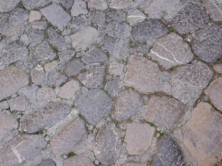 Background of old vintage brick wall. High quality photo for digital use.