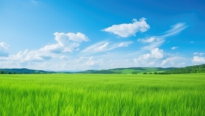 Obraz premium Vibrant Green Grass Meadow Under Clear Blue Sky, Fluffy Clouds in a Natural Landscape