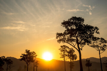 Scenic view dramatic beautiful sunset sky. Natural Sunset Sunrise on meadow silhouette shadow dark land. Vibrant dramatic sky on sunset, dawn, sunrise in Countryside. Landscape Colorful Sky At Sunset