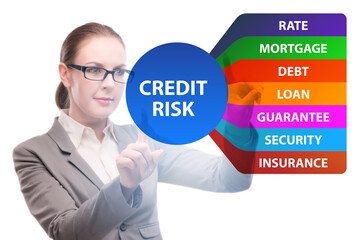 Credit risk concept in modern banking