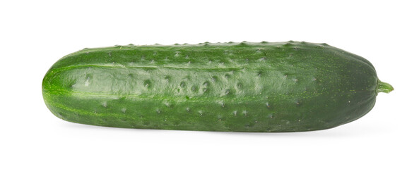 One fresh green cucumber isolated on white