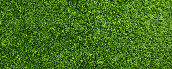 Obraz premium Green artificial grass as background, banner design