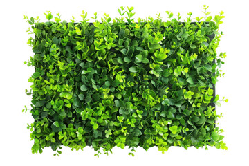 Obraz premium Embracing Nature in the Urban Landscape. Modern cityscape with greenery concept