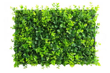 Embracing Nature in the Urban Landscape. Modern cityscape with greenery concept