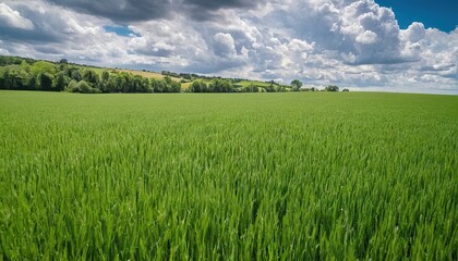 Obraz premium Digital composition of green meadow and blue sky 16