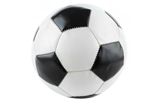 Capturing the Warmth of Autumn. Nature's colorful display concept