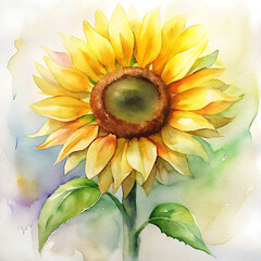 sunflowers on a blue background