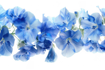 Serene Sunset over the Ocean. Tranquility concept