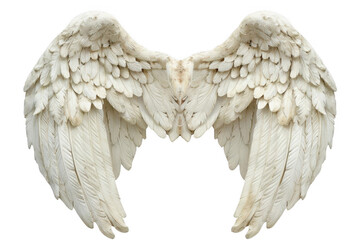 Tranquil morning in the countryside. Peaceful rural landscape concept