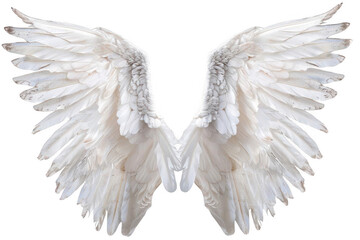 Obraz premium Majestic sunset over the mountains. Serene nature concept