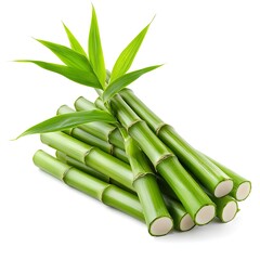 Obraz premium Freshly Harvested Bamboo Shoots on Plain White Background