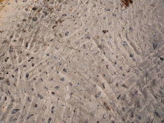 Pavement of river stone and concrete background. Abstract background with round pebbles stones.