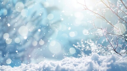 Winter Wonderland:  Snowy Branches and Bokeh Lights