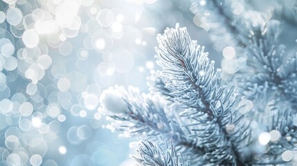 Winter Wonderland: Frosty Pine Branch in Snowy Landscape