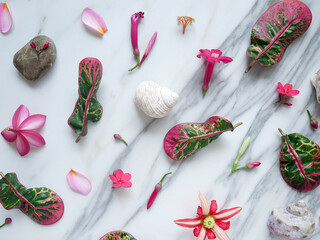 Background of a white marble with flowers, pebbles and seashells to add text
