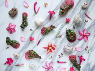 Background of a white marble with flowers, pebbles and seashells to add text