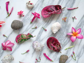 Background of a white marble with flowers, pebbles and seashells to add text