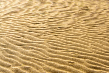 Giant Sand Dunes in Cape Reinga - New Zealand