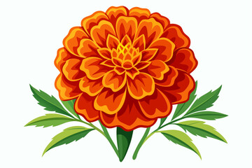 A Single Orange Marigold Flower with Green Leaves