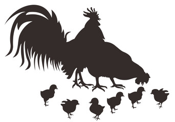 Obraz premium Chicken, rooster, hen animal silhouettes