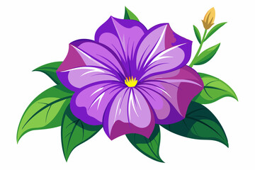 Fototapeta premium Purple Flower with Green Leaves and a Bud