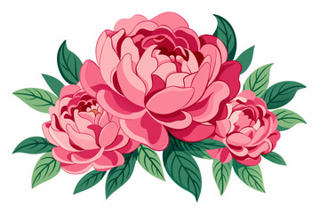 A cluster of three pink peonies with green leaves.