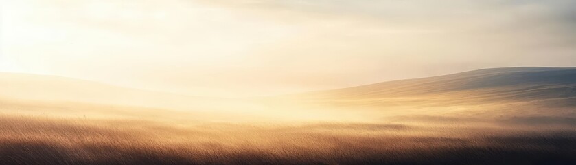 Obraz premium Soft, golden light at sunset over a field.