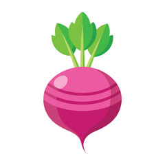 Illustration of Fresh Turnip Isolated on white