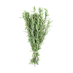 Fototapeta premium Close-up of a bundle of rosemary stems on a transparent background, highlighting their textured, needle-like leaves and vibrant hue.